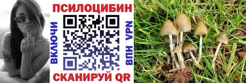 дарк нет как зайти  Орск  Галлюциногенные грибы MAGIC MUSHROOMS 